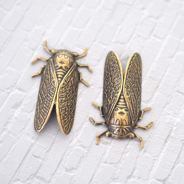 Antique Brass Ox Large Cicada Brass Stamping - Brass Jewelry Finding - Embellishment - Focal Brass Stamping - Bug, Critter - ABB143