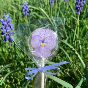 Edible Flower Lollipops image 1