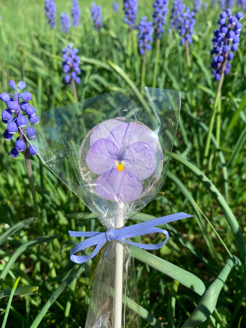 Edible Flower Lollipops image 1