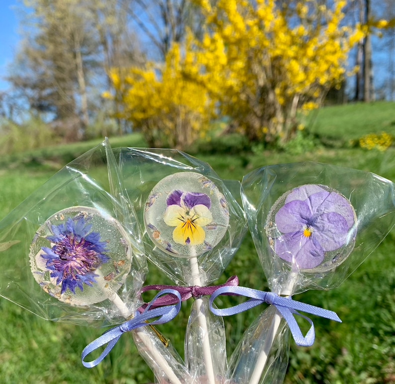 Edible Flower Lollipops image 5