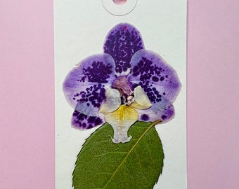 Pressed Orchid Gift Tag