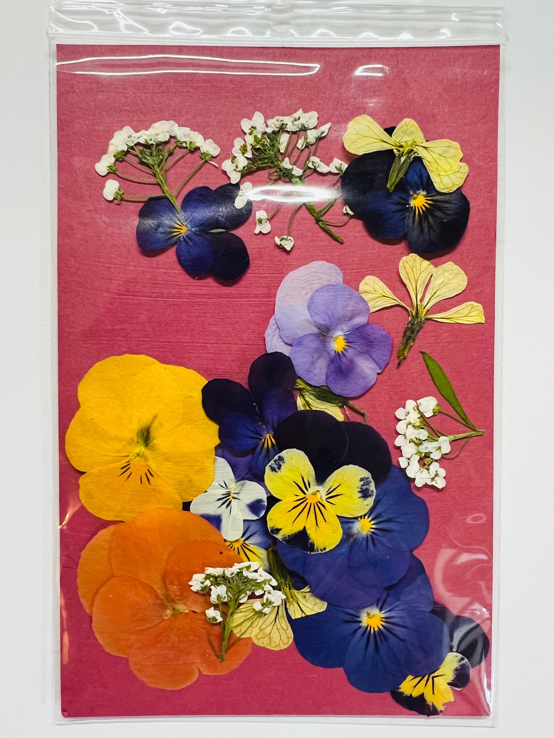 Organic Pressed Edible Flowers Etsy