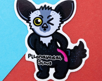 Aye-aye Pillonidal Sinus Aufkleber - Spoonie Invisible Illness Vinyl Aufkleber