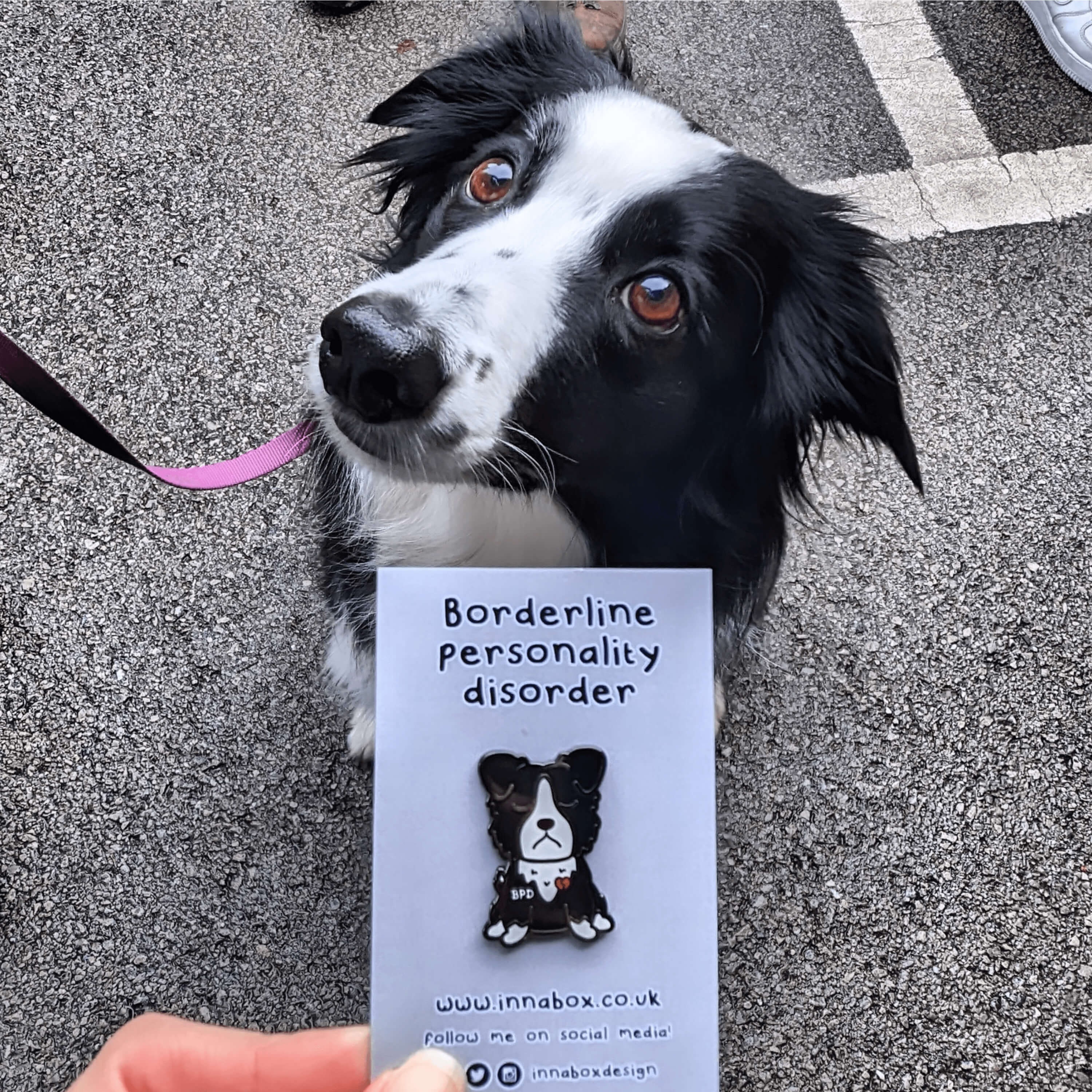 Borderline Personality Disorder Border Collie Dog Enamel Pin - BPD ...