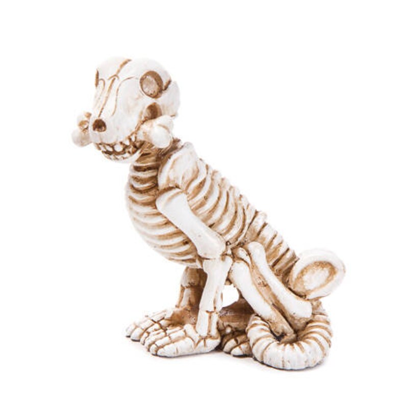 Skeleton Dog Halloween Miniature Fairy Garden Accessories Etsy