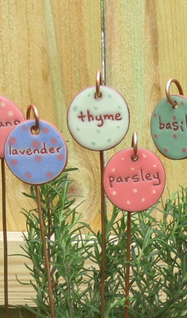 May include: Five colorful ceramic plant markers with copper wire stems. The markers are decorated with white polka dots and have the words "thyme", "lavender", "parsley", "basil" and "ano" written on them.