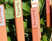 Jen 1 Veggie Marker, Veggie Gift, Vegetable Markers, Herb Stakes, Plant Markers, Veggies, Garden Markers, Garden Gift, Veggies