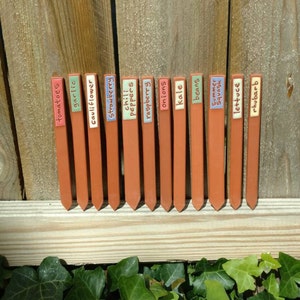 Vegetable Marker 12- Vegetable Markers - Veggie Markers - Handmade - Unique - Herb Stakes - Plant Markers - Garden Markers