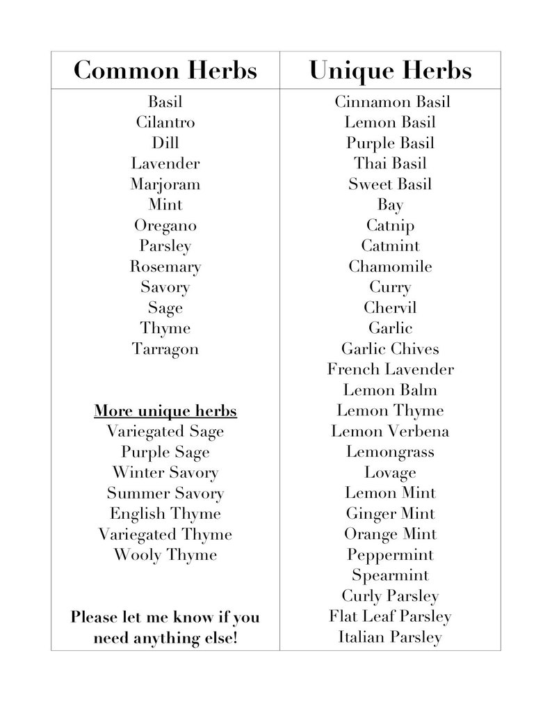 May include: A list of common and unique herbs, with a section for more unique herbs. The list includes basil, cilantro, dill, lavender, marjoram, mint, oregano, parsley, rosemary, savory, sage, thyme, tarragon, cinnamon basil, lemon basil, purple basil, Thai basil, sweet basil, bay, catnip, catmint, chamomile, curry, chervil, garlic, garlic chives, French lavender, lemon balm, lemon thyme, lemon verbena, lemongrass, lovage, lemon mint, ginger mint, orange mint, peppermint, spearmint, curly parsley, flat leaf parsley, and Italian parsley. The list also includes variegated sage, purple sage, winter savory, summer savory, English thyme, variegated thyme, and woolly thyme.