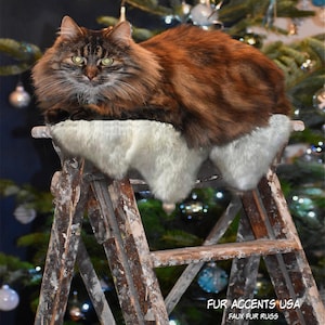 May include: A brown tabby cat with green eyes sits on a wooden step ladder decorated with white faux fur. The ladder is in front of a Christmas tree with blue and white ornaments.