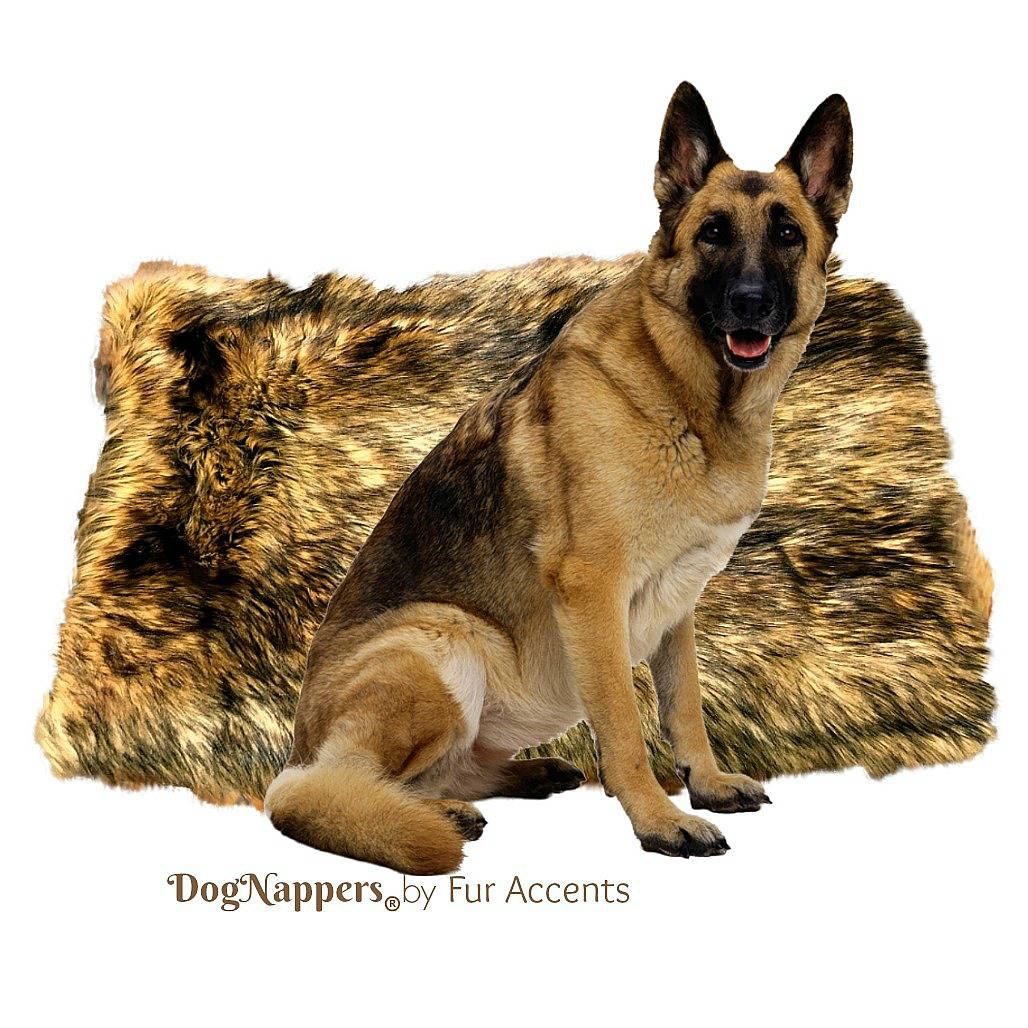 Shaggy Soft Golden Brown Wolf Faux Fur Dognapper Dog Bed Cat Mat Reversible  Padded Plush Shag Fur Lining Fur Accents USA - Etsy Denmark