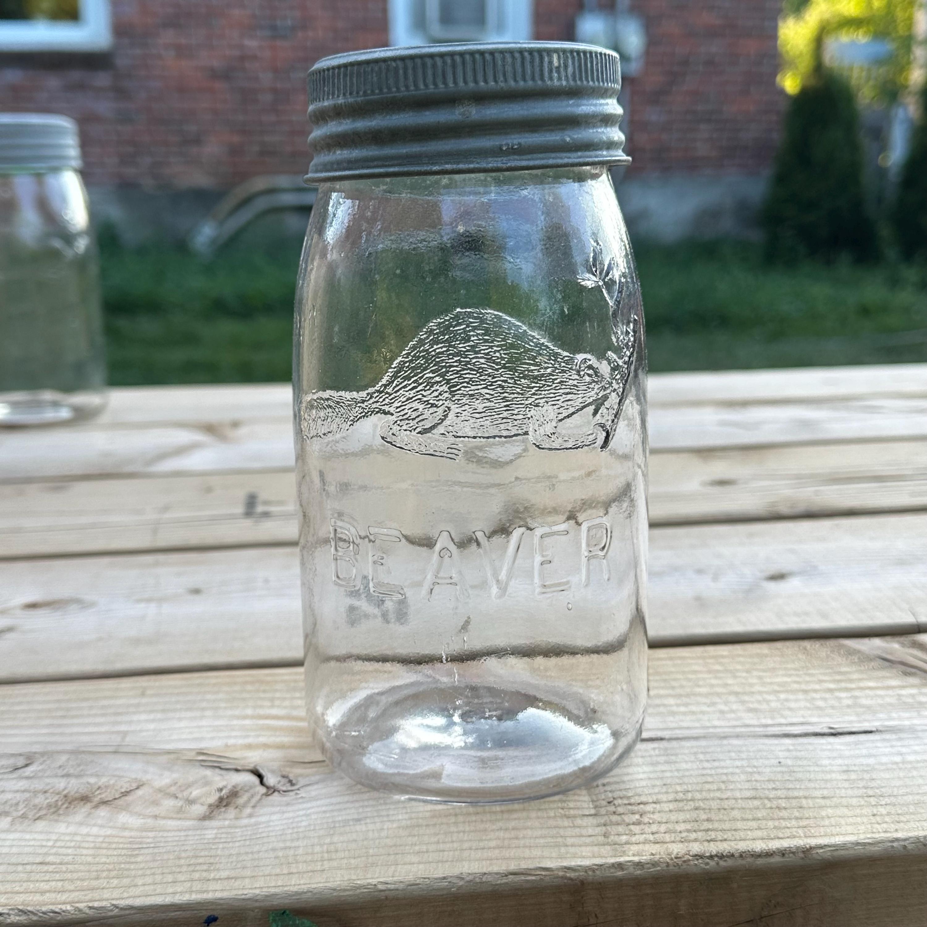 jar　0527 Antique Number 12 7 1/4'' BEAVER Fruit Canning Jar Mason Jar #3