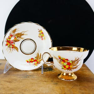 Vintage Rosina 5042 Tea Cup & Saucer Fine Bone China England autumn colors