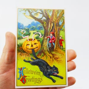 Peut inclure: Carte postale vintage d'Halloween avec une citrouille sculptée, un chat noir et des personnages près d'un arbre. La carte postale porte l'inscription "Halloween Greetings" dans une police décorative, sur fond vert et jaune.