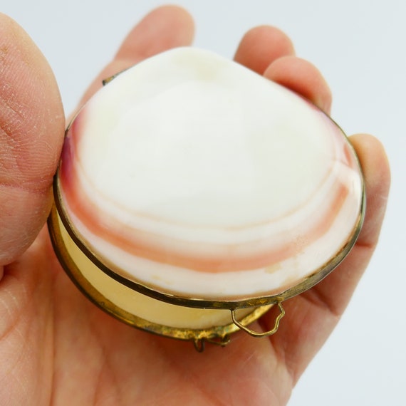 Vintage Clam Shell Coin Purse Trinket Curiosity Vanity Decoration