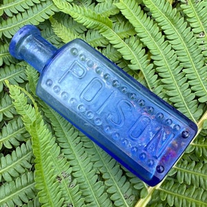 Antike kobaltblaue rechteckige Giftflasche mit geprägten Punkten und 5 Zoll
