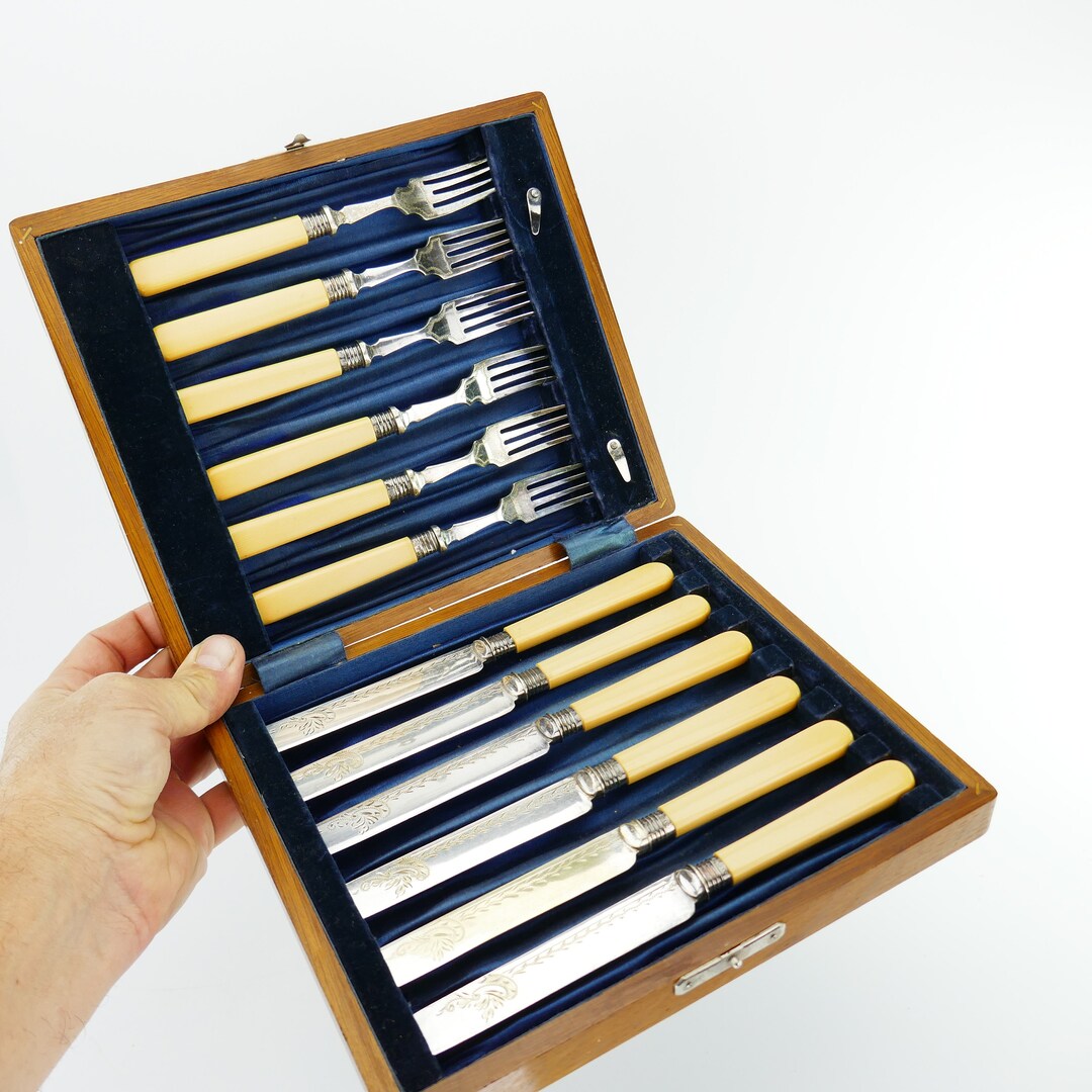 Vintage Cutlery Knives Forks Box Case Silver Plated Etched Beige Lucite