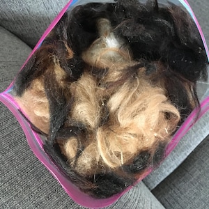 May include: A close-up of a plastic bag filled with a mixture of light brown and black hair. The bag is pink and has a zipper.