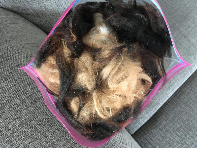 May include: A close-up of a plastic bag filled with a mixture of light brown and black hair. The bag is pink and has a zipper.