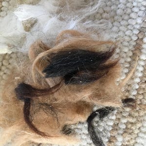 May include: A close-up of a pile of brown, black, and white animal fur. The fur is tangled and appears to be from a dog or cat.