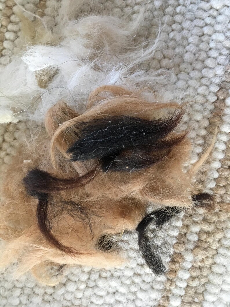 May include: A close-up of a pile of brown, black, and white animal fur. The fur is tangled and appears to be from a dog or cat.