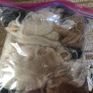 May include: A clear plastic bag filled with a mixture of white, brown, and black fibers. The fibers are loose and appear to be wool or other natural fibers.