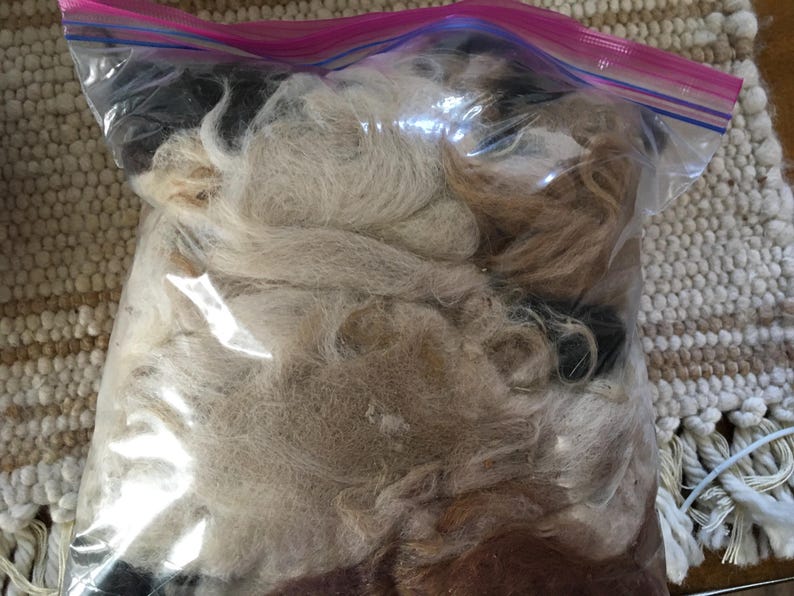 May include: A clear plastic bag filled with a mixture of white, brown, and black fibers. The fibers are loose and appear to be wool or other natural fibers.