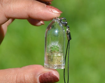 Tiny Live Cactus Terrarium, Keychain, Fridge Magnet, Necklace