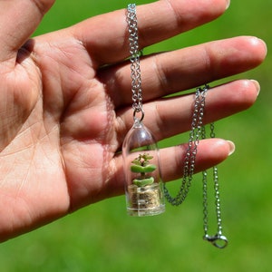 Live Tulip Necklace Plants - Succulent Terrarium Flower Necklace, Key chain, Fridge Magnet - Tulip and Terrarium - Boo-Boo Plant