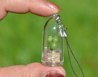 Boo-Boo Plant – Live Miniature Terrarium Necklace, Keychain