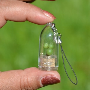 Pearl Tiny Live Plant Living Inside a Capsule - Small Succulent Terrarium Necklace, Key Chain, Fridge Magnet - Boo-Boo Plant