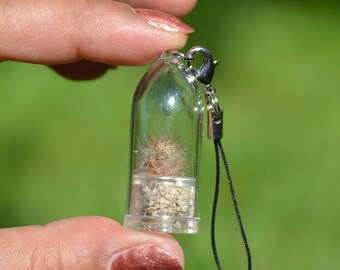 Tiny Live Cactus Terrarium Necklace, Keychain, Fridge Magnet