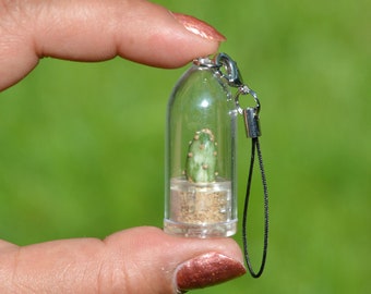 Live Cactus Terrarium Necklace, Miniature Pet Plant, Keychain Magnet