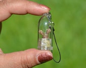 Needle Cactus-Live Tiny Cacti Pet Plant Necklace, Key Chain, Fridge Magnet - Miniature Terrarium Plant inside little Capsule -Boo-Boo Plant
