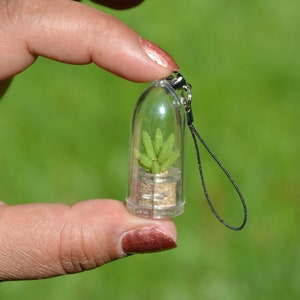 Live Apple Cactus Necklace Plant - Living Cacti Terrarium succulent Flower Necklace, key chain, fridge magnet - Boo-Boo Plant