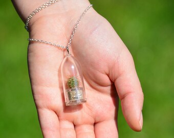 Tiny Palms Cactus-Miniature Living Cacti Plants inside a Terrarium Capsule Available in Necklace, Key chain, and Fridge Magnet-Boo-Boo Plant