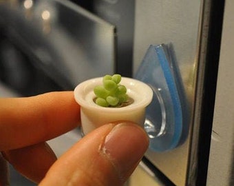 Mini Live Succulent Terrarium – "Boo-Boo Plant" Necklace, Keychain, Magnet
