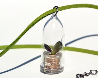 Boo-Boo Plant Necklace – Live Miniature Terrarium, Succulent Jewelry