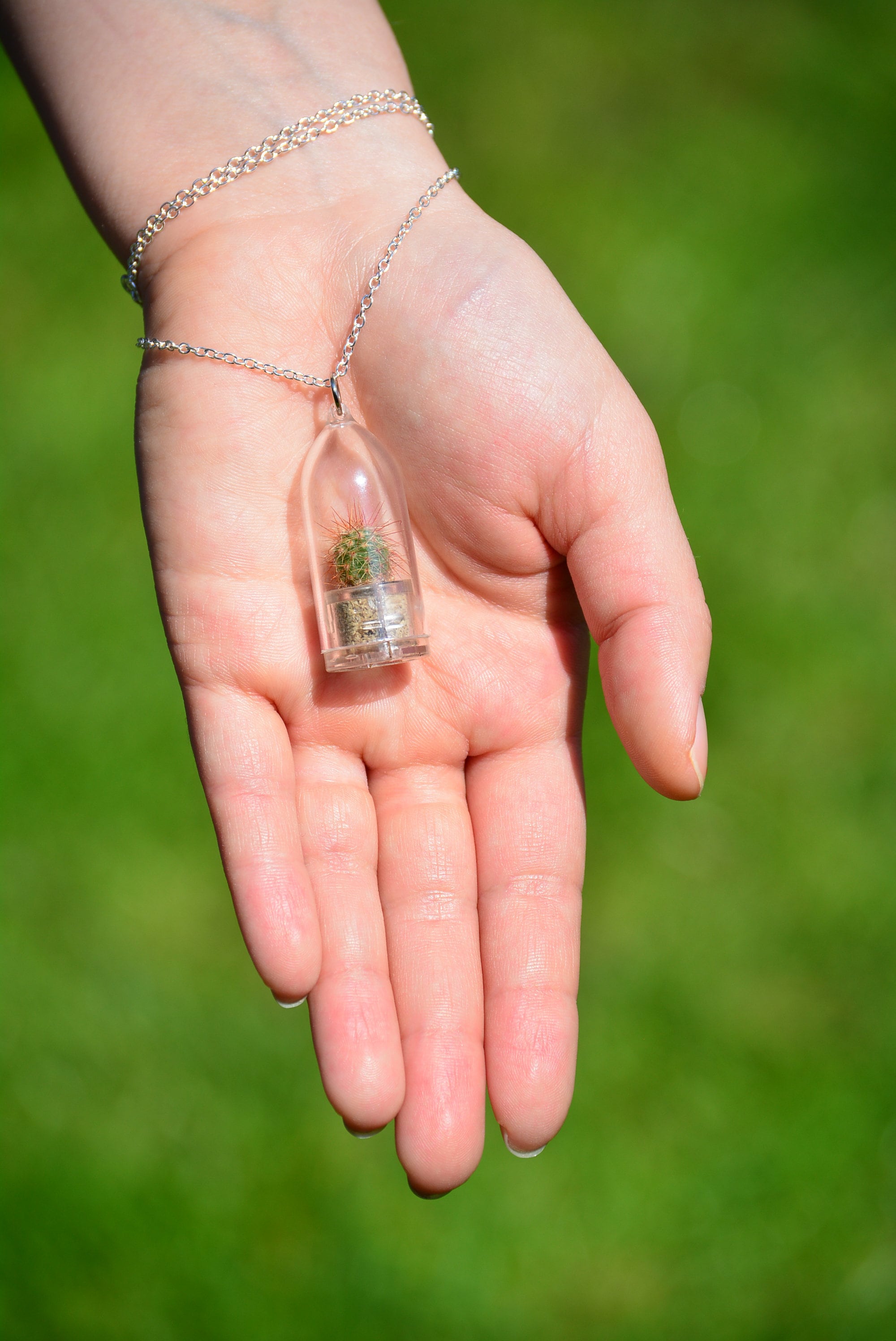 Living Plant Jewelry Etsy