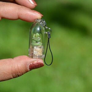 May include: A small clear glass terrarium with a green succulent plant inside. The terrarium is attached to a black string and can be used as a keychain.