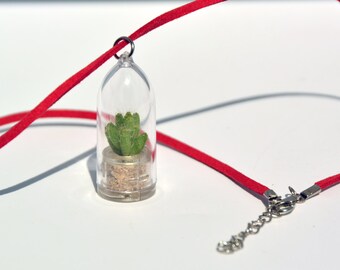 Live Succulent Terrarium Necklace - Miniature Plant Jewelry