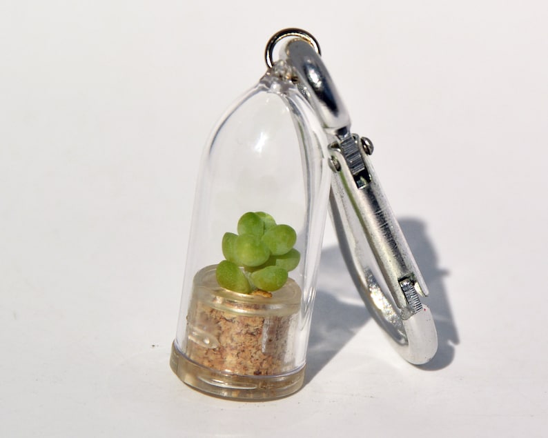 May include: A small succulent plant in a clear glass vial with a cork stopper. The vial is attached to a silver key chain.