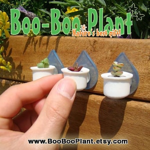 Boo-Boo Nest - Live Cacti Terrarium Flower Clip Holder for Plants Living Inside a Tiny Capsules - to be used with Boo-Boo Plant