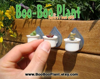 Boo-Boo Nest - Live Cacti Terrarium Clip Holder