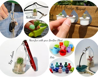 Boo-Boo Plant – Live Cactus Terrarium Necklace, Keychain, Magnet