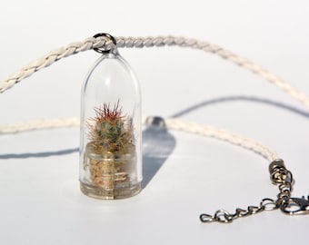 Live Cactus Terrarium Necklace – Miniature Arizona Plant, Boo-Boo Plant