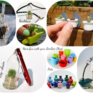 May include: A collection of miniature succulent plants in various containers, including a necklace, key chain, fridge magnet, and small pots. The text "Have fun with your BooBoo Plant" is displayed above the pots.