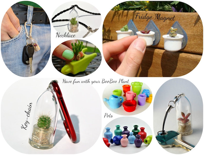 May include: A collection of miniature succulent plants in various containers, including a necklace, key chain, fridge magnet, and small pots. The text "Have fun with your BooBoo Plant" is displayed above the pots.