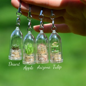May include: Four small glass terrariums with different types of succulents hanging from silver chains. The terrariums are labeled "Desert", "Apple", "Arizona", and "Tulip".