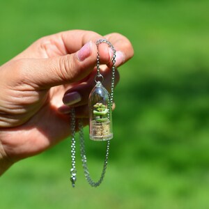 May include: A silver chain necklace with a clear glass pendant containing a small green plant. The pendant is shaped like a dome and the plant is visible through the glass.